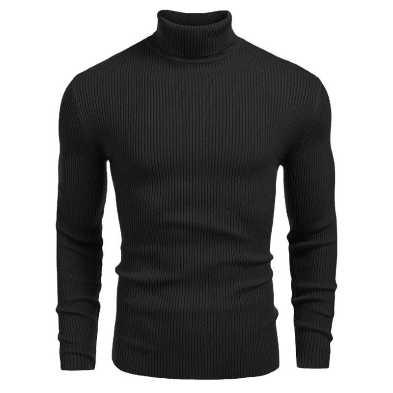 Langärmliger Rollkragenpullover zum einstecken