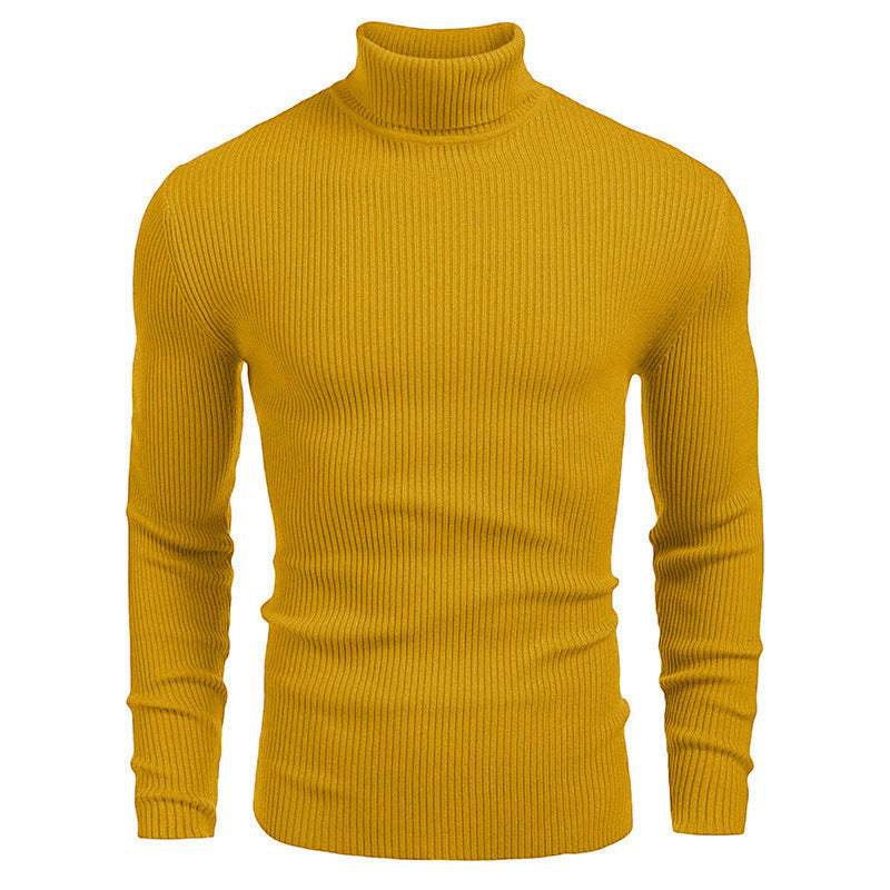 Langärmliger Rollkragenpullover zum einstecken