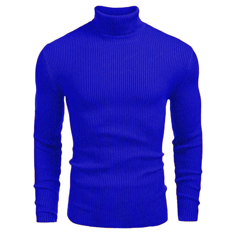 Langärmliger Rollkragenpullover zum einstecken