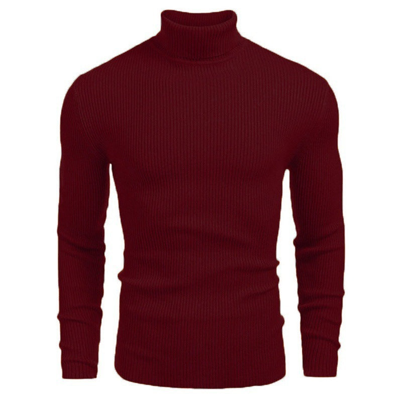 Langärmliger Rollkragenpullover zum einstecken