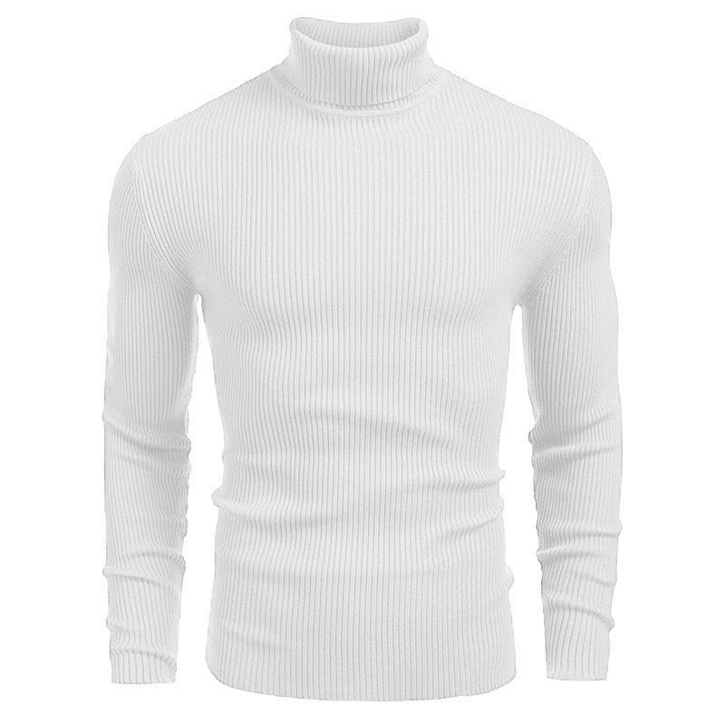 Langärmliger Rollkragenpullover zum einstecken