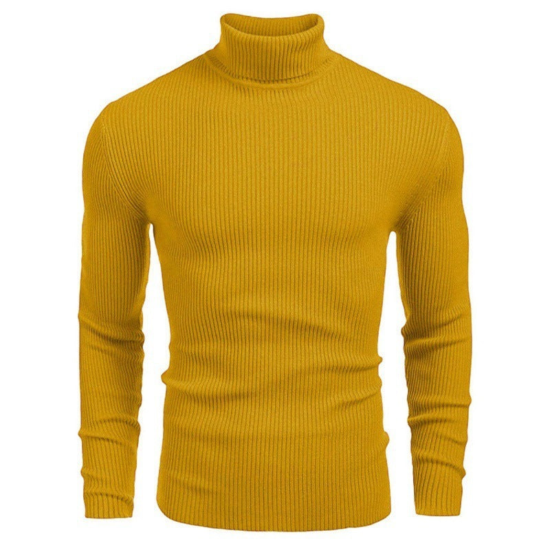 Langärmliger Rollkragenpullover zum einstecken